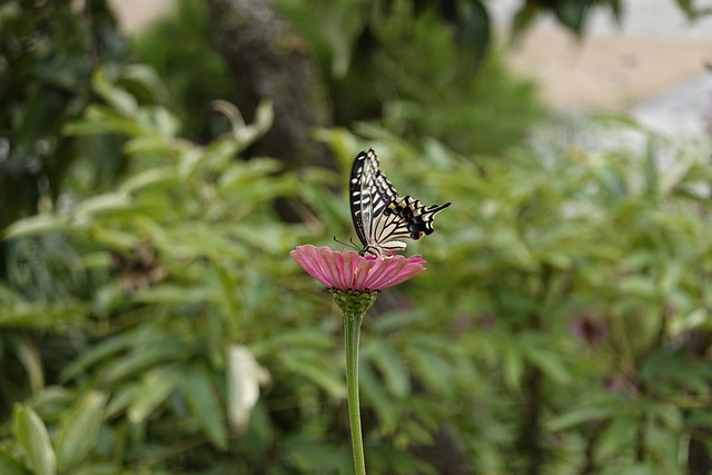 当一支球队