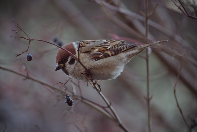 养能力 养能力